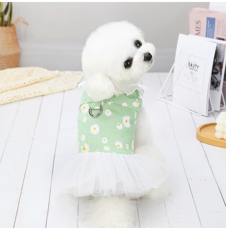 Title 5, Kleines Hunde Bichon Frise Prinzessinnenkleid, ...