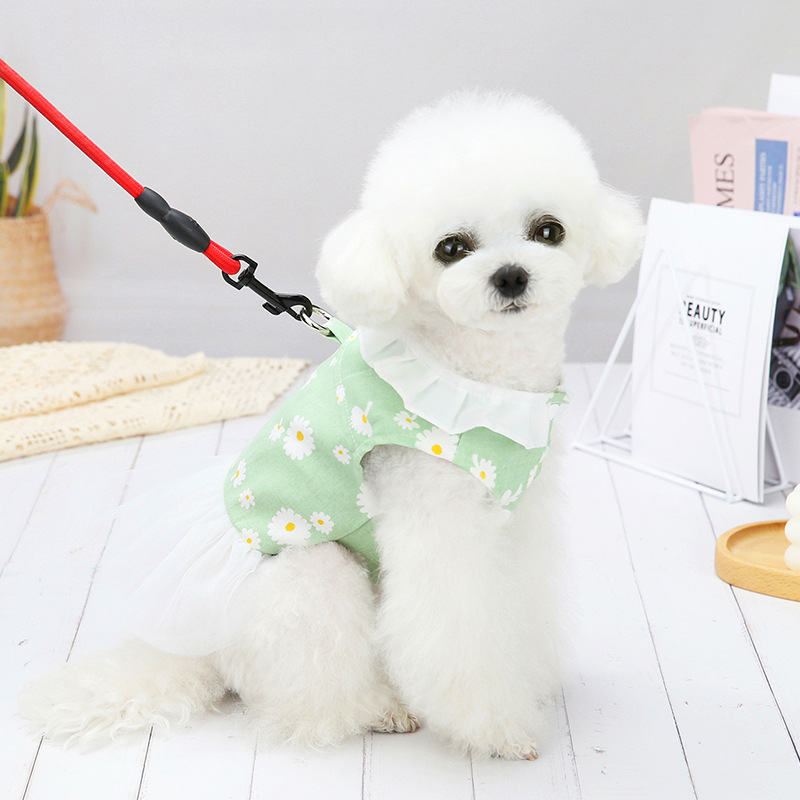 Title 2, Kleines Hunde Bichon Frise Prinzessinnenkleid, ...