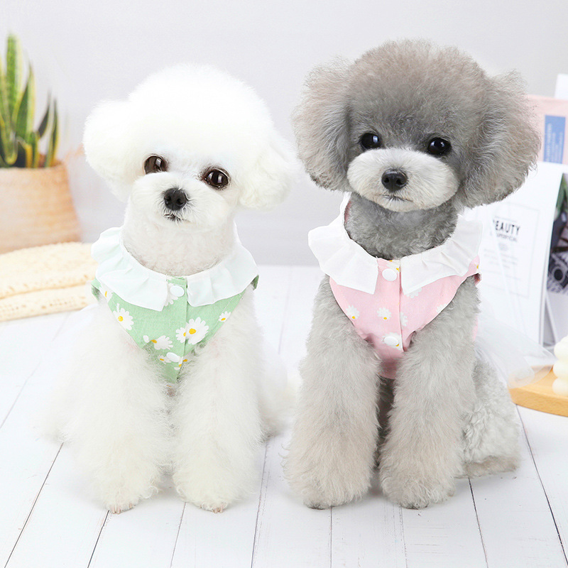 Title 3, Kleines Hunde Bichon Frise Prinzessinnenkleid, ...