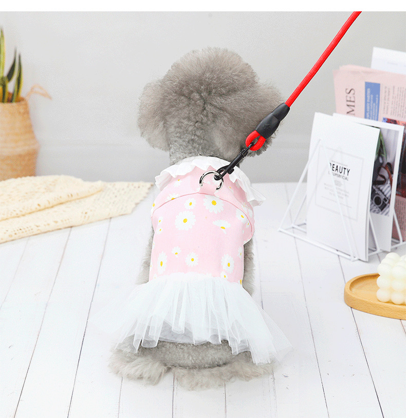 Title 8, Kleines Hunde Bichon Frise Prinzessinnenkleid, ...