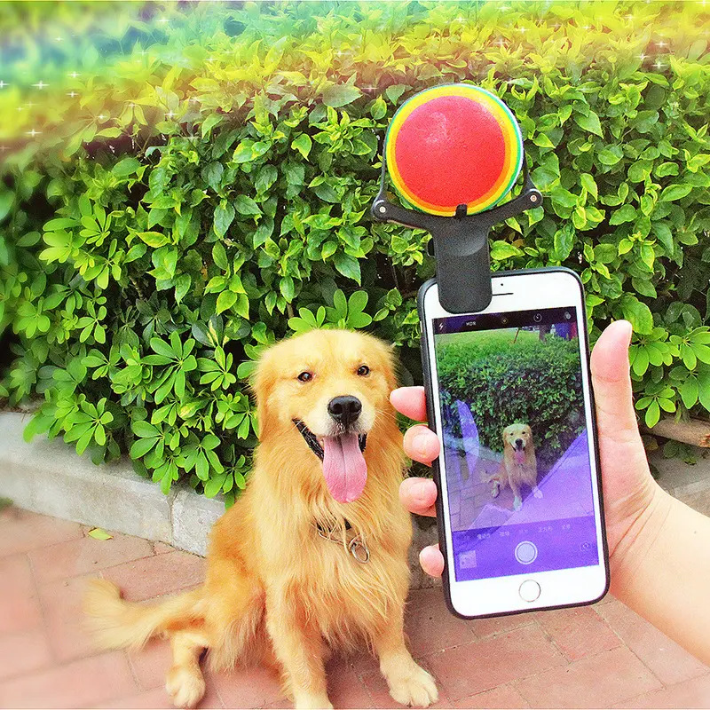 Pet Photo Props Toy Pet Selfie Artifact Funny Dog
