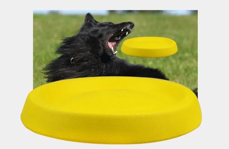 Pet Dogs Throwing Plastic Toys – image 2