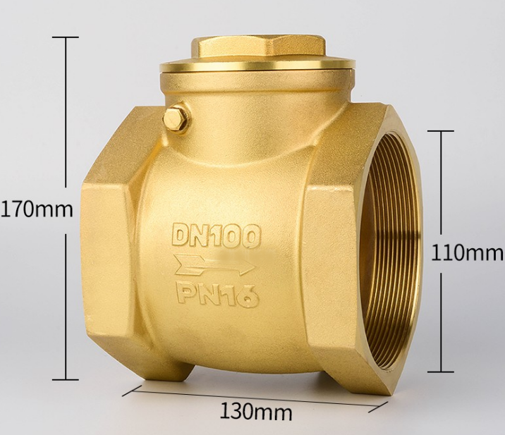 Horizontal check valve