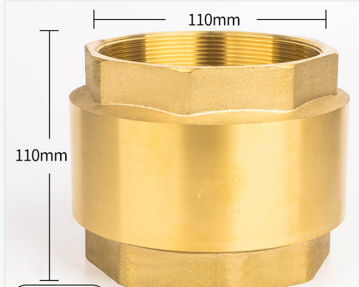 Vertical check valve