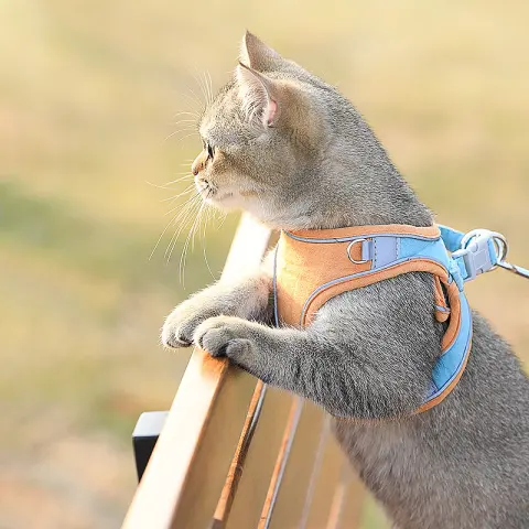 Cat Traction Rope Home Vest-Style Chest Harness Cute Anti-Stroke