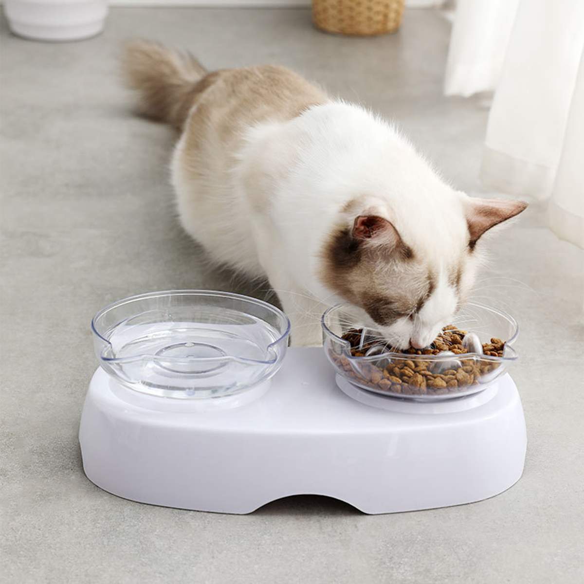 Protect The Cervical Spine Plastic Cat Bowl With Oblique Mouth Double Bowl