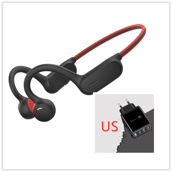 Black and red US PLUG