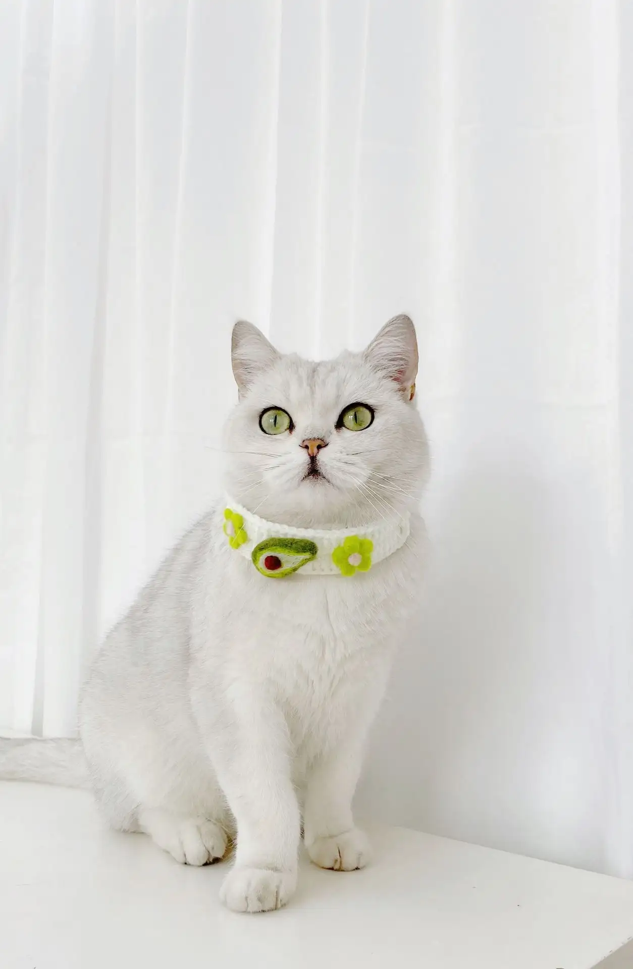 Pet Knitted Wool Felt Daisy Flower Bee Pumpkin Fruit Strap Cute Cat Collar Foreign Trade Customization