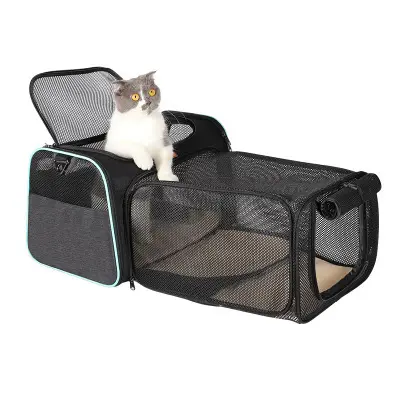 New Pet Supplies Small Bag Cat Expandable