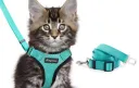 Green With Leash1.5X0.02M