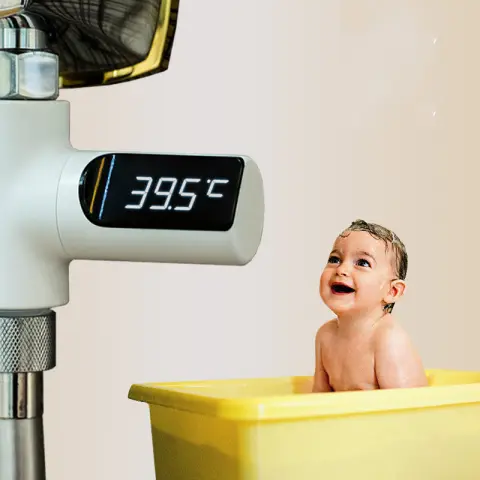 Electronic Faucet