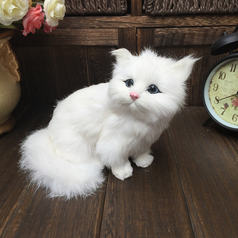 Small Persian Cat