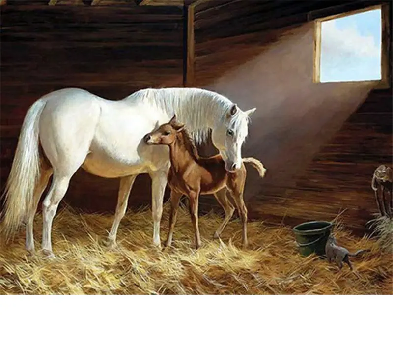 CHEVAL MERE ET ENFANT
