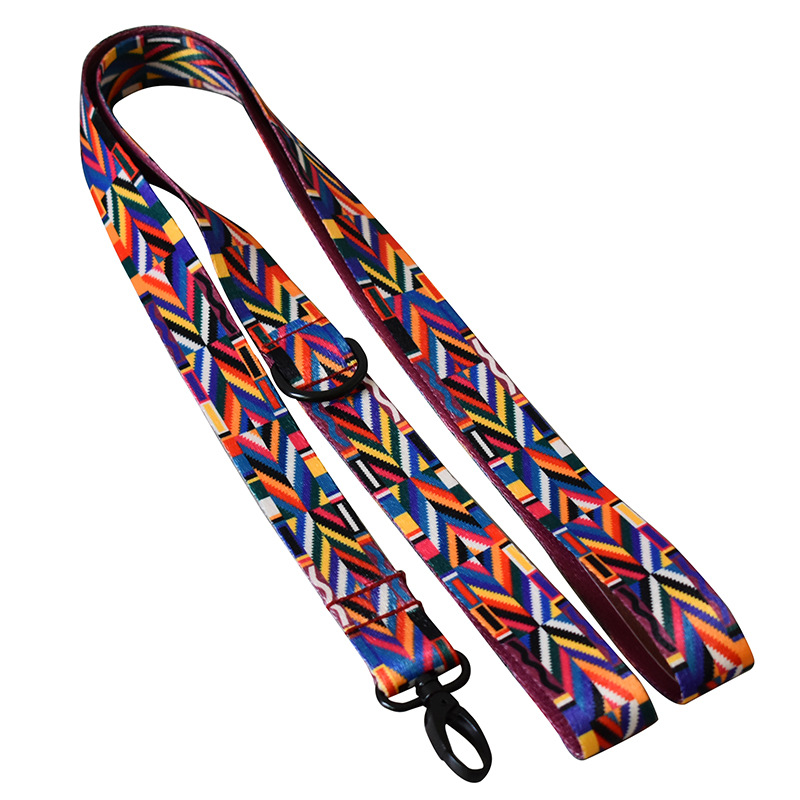 Rainbow dog leash