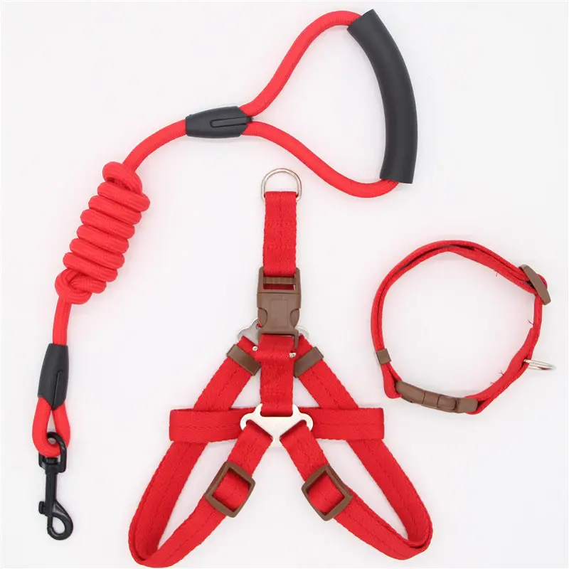 Pet Supplies Simple Dog Leash