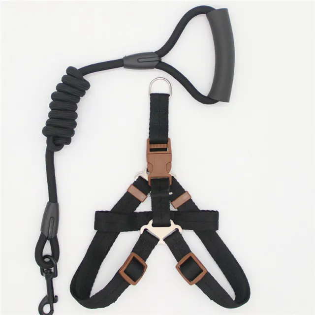 Pet Supplies Simple Dog Leash - Shop at LoveMi
