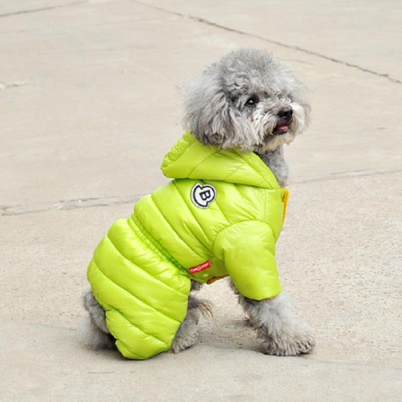 Title 7, Winterkleding voor honden Teddy, Bichon, Pomera...