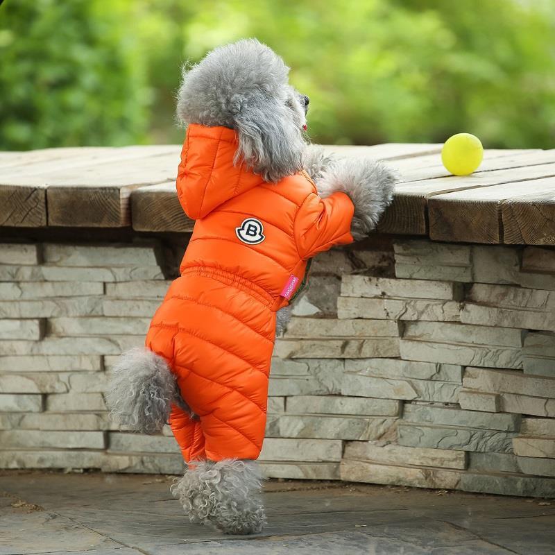 Title 5, Winterkleding voor honden Teddy, Bichon, Pomera...