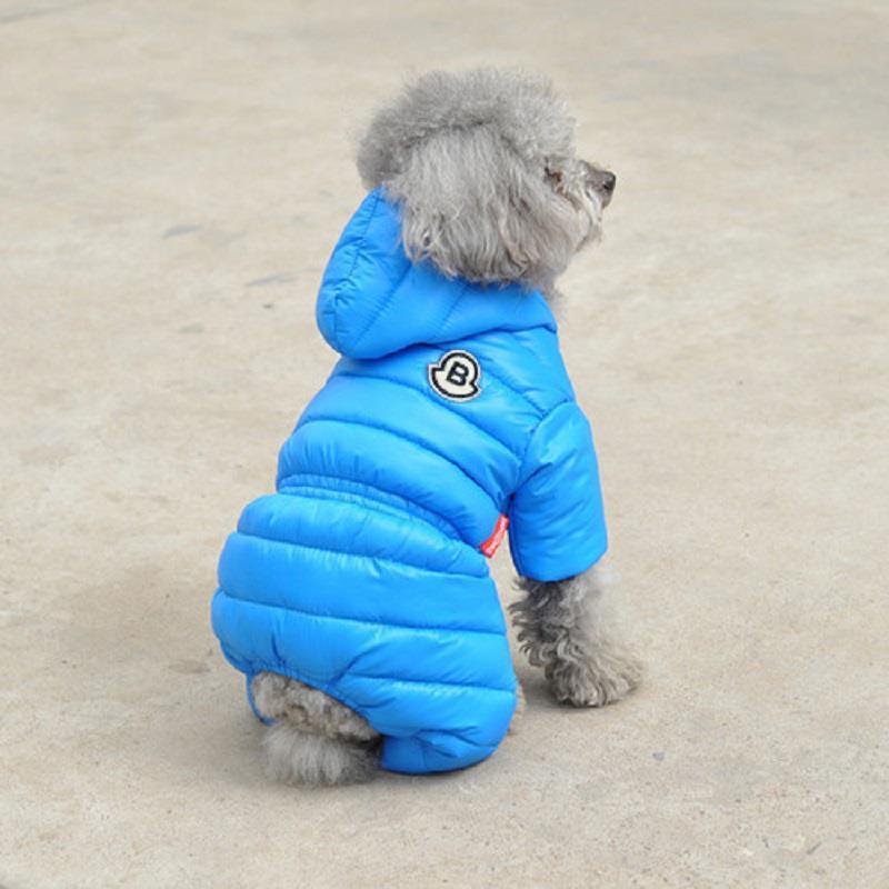 Title 6, Winterkleding voor honden Teddy, Bichon, Pomera...