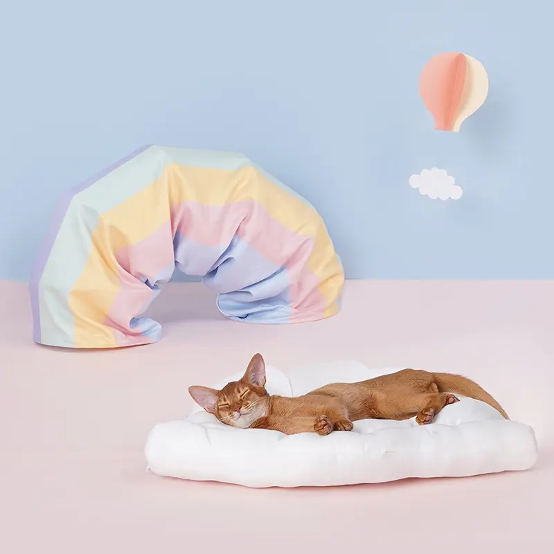 Rainbow Cat Tunnel Toy