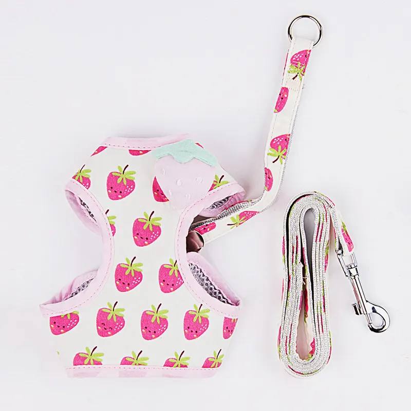 Cat Traction Rope Cute Fruit Anti-Break Away