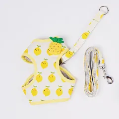 Cat Traction Rope Cute Fruit Anti-Break Away Cat Walking Cat Walking Rope - Pineapple - View 1