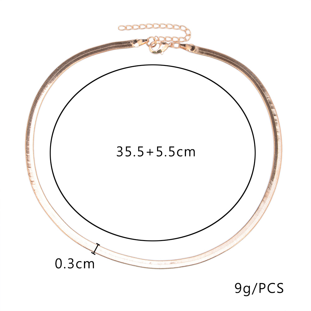 European And American New Style Simple And Low-Key Short Clavicle Blade Chain Flat Snake Bone Chain Necklace