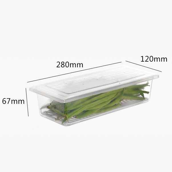 Kitchen Drain Preservation Box Plastic Small Fish Box Seafood Vegetable Rectangular Refrigerator Storage Box Manufacturer