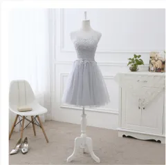 Short Sisters Group Bridesmaid Dress Long Evening Dress - Grey - View 1