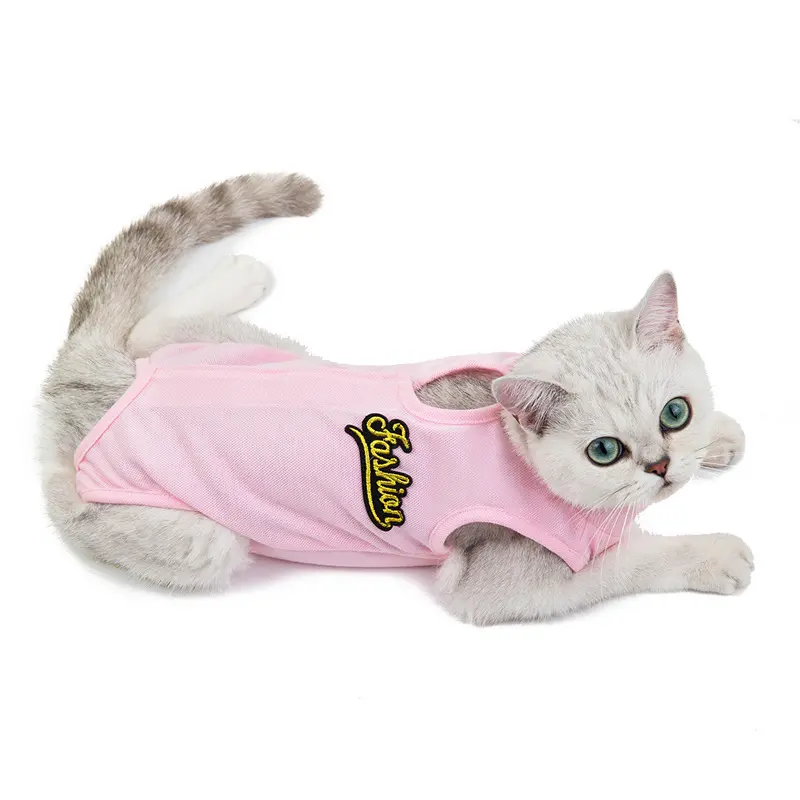 Cat Clothes Spring and Summer Thin Female Cat Anti-Licking