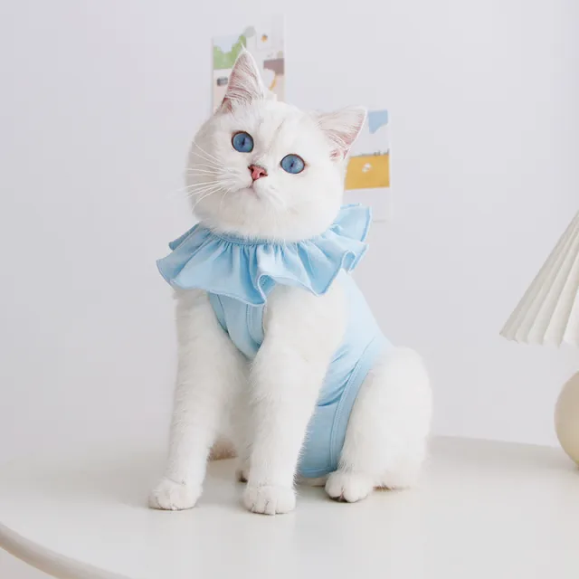 Burden Relieving Sterilization Suit Pet Clothes Cute Breathable Summer Thin Female Cat Weaning Cat Surgical Gown Sky Blue - Shop at LoveMi