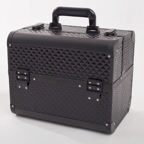 Professional Makeup Case with Artist