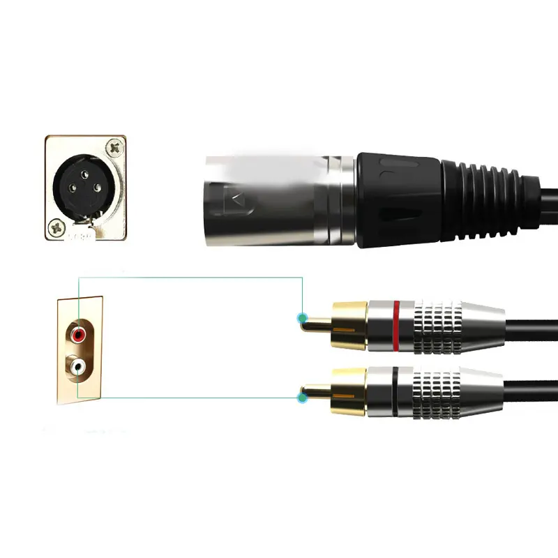 Canon to Dual RCA Audio Line Male and Female
