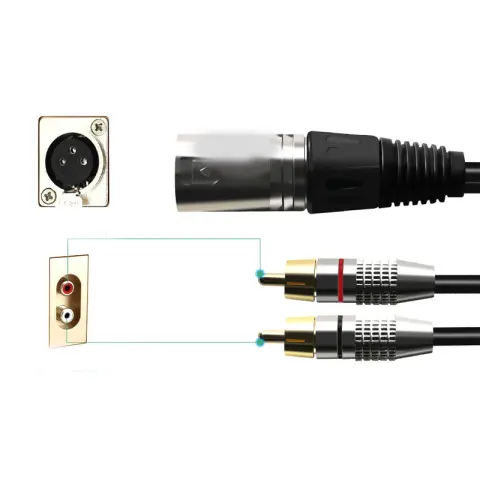 Canon to Dual RCA Audio Line Male and Female