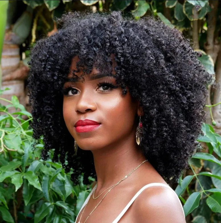 Afro Wig European and American Wig Female Short Curly Hair Wig African Small Curly Hair Rose Mesh Chemical Fiber Headgear Wigs - Black