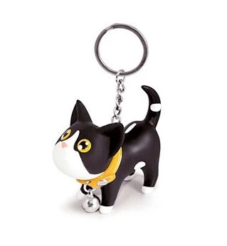 Black And White Cat