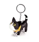Black And White Cat