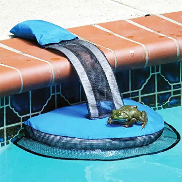 Swimming Pool Small Animal Rescue Escape Way