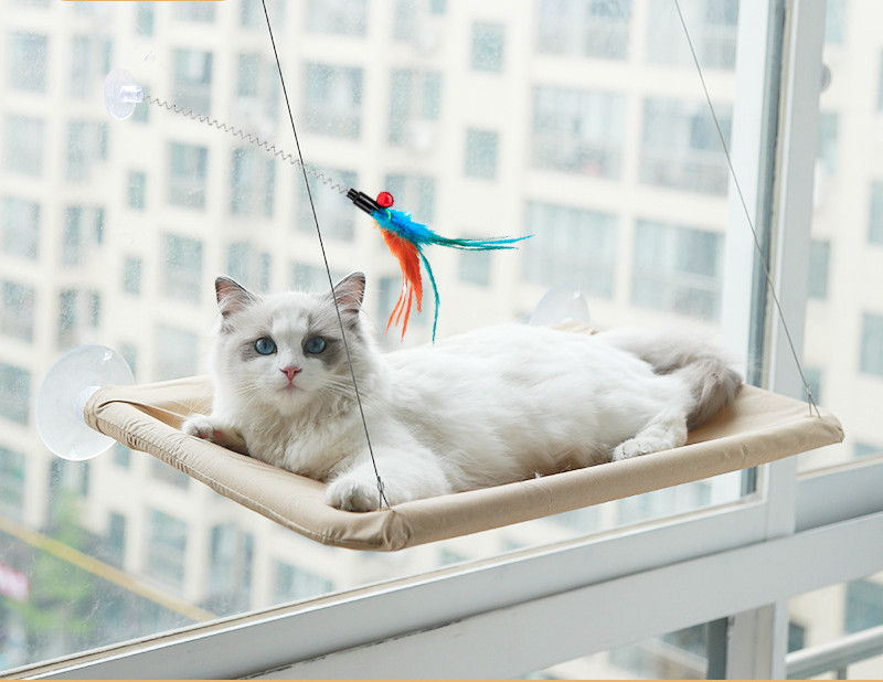 Cat hammock feather toy