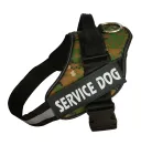 Camouflage Green
