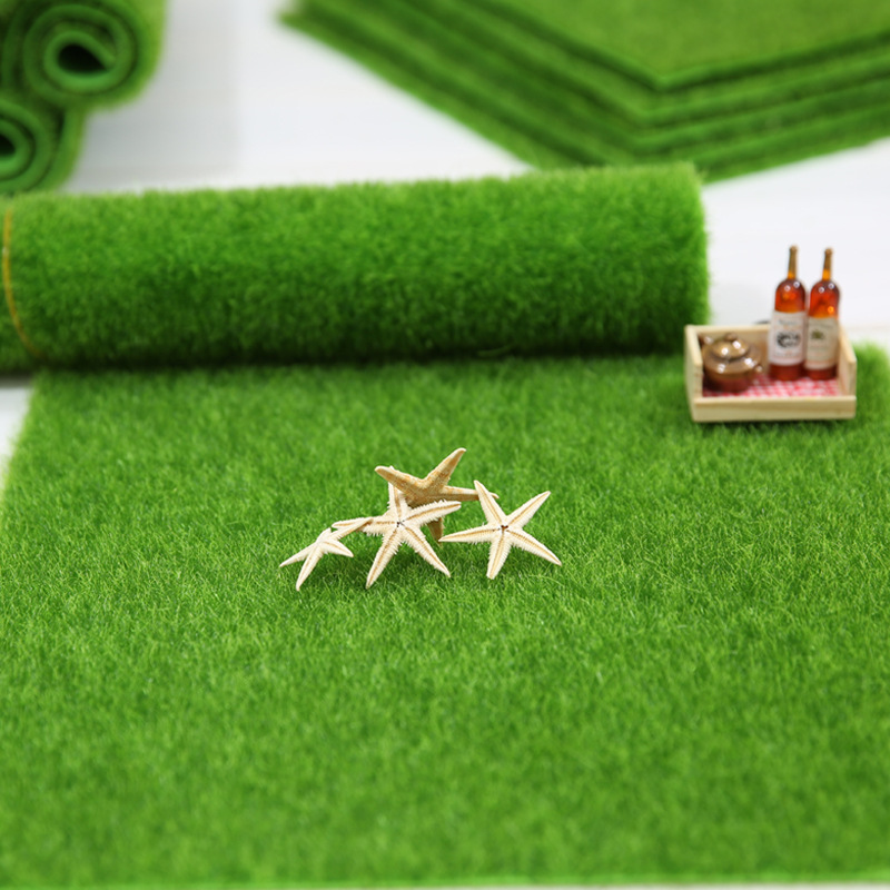 False White Moss Succulent Micro-Landscape Diy Decoration