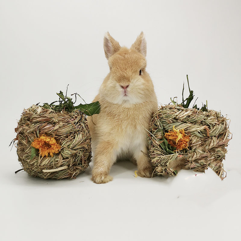 Small Pet Amused Grass Ball Dandelion Marigold Chrysanthemum Grass Ball