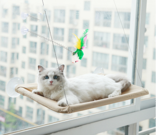 Cat hammock mouse toy