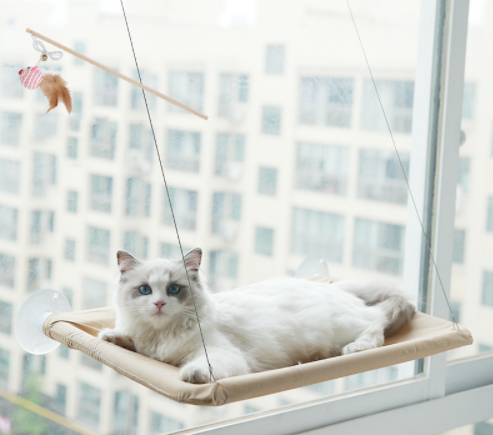 Cat hammock funny cat stick