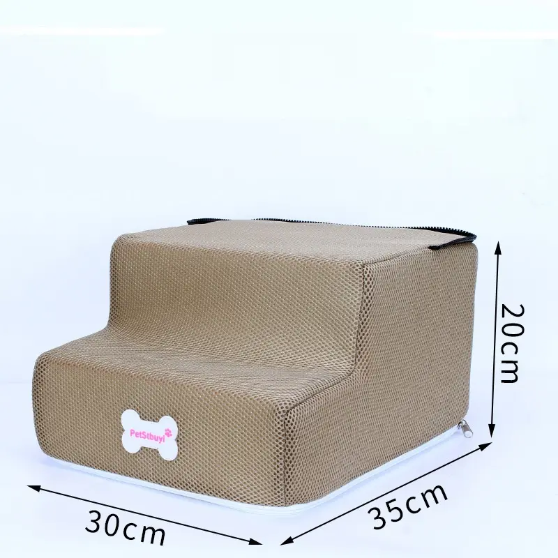 Pet Sponge On The Sofa Bed Climbing