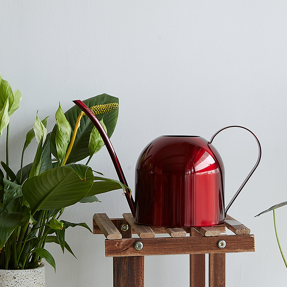 Title 3, Stainless Steel Plant Watering Can