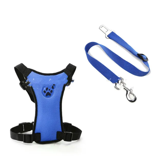 Mesh Chest Back With PP Seat Belts Can Be Customized Blue - Shop at LoveMi