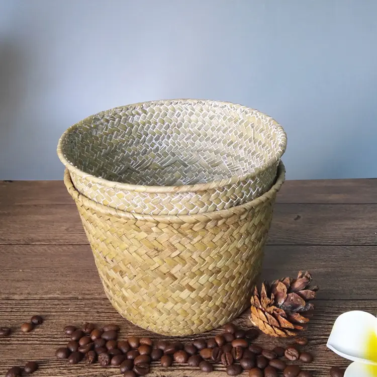 Straw Green Plant Pots, Living Room