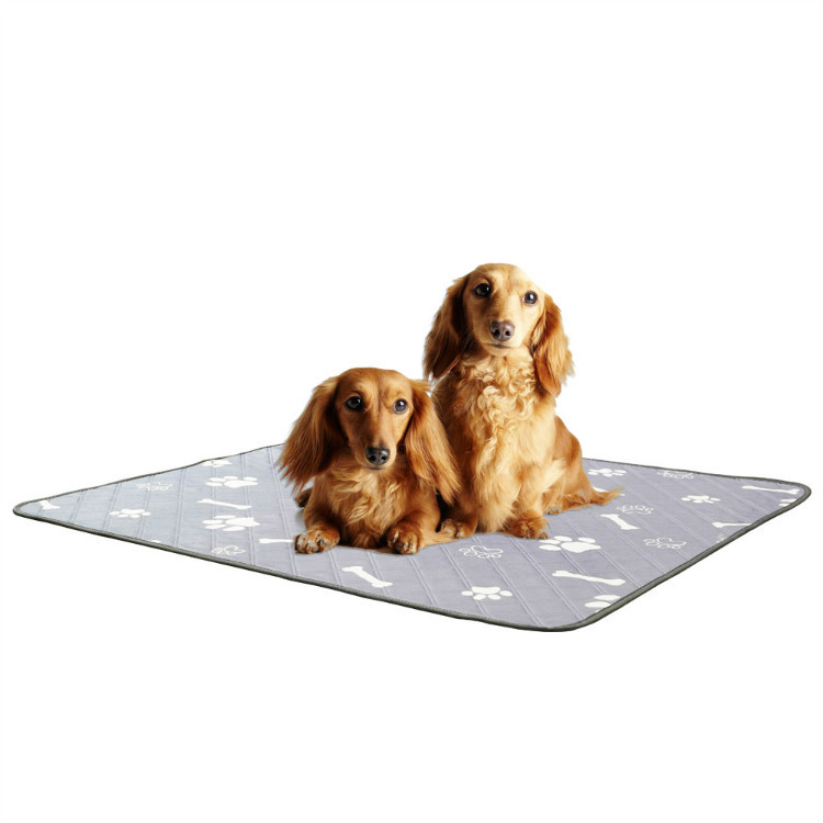 Title 1, Re-Washable Pet Absorbent Non-Slip Changing Pad...