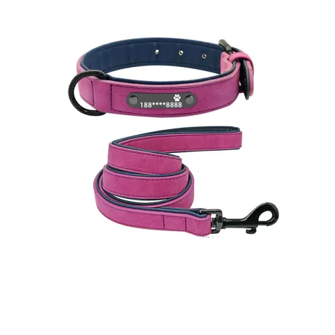 Dog Collar Lettering Anti-Lost Medium Dog Large Dog Small